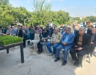 راهکار نجات مصرف آب در شالیزارها؛ امکان صرفه‌جویی ۴۰ درصدی با کشت مستقیم برنج