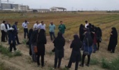 برگزاری روز مزرعه حبوبات دیم در ایستگاه ملی گنبد‌کاووس