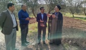 برنامه‌ریزی اجرای دوره‌های مهارتی ویژه زندانیان