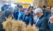حضور پررنگ مرکز تحقیقات کشاورزی گلستان در بیست‌وششمین نمایشگاه دستاوردهای پژوهش و فناوری