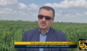 بازتاب مصاحبه رئیس مرکز تحقیقات و آموزش گلستان در خبرگزاری ایرنا