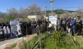 برگزاری پویش ملی نهال‌کاری «سرو ایران» در شهرستان گرگان