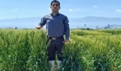 گام مؤثر در اصلاح تاریخ و تراکم کاشت گندم با تولید و بررسی لاین‌های دابل هاپلوئید