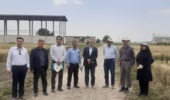 بازدید رئیس مؤسسه تحقیقات اصلاح و تهیه نهال و بذر کشور از ایستگاه ملی تحقیقات کشاورزی گنبدکاووس