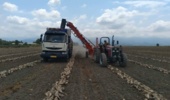 برداشت چغندرقند از مزرعه واحد آموزش شهید روحانی‌فرد کردکوی