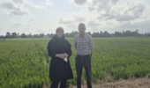 بازدید فنی از مزارع شالیزاری مرکز آموزش شهید روحانی‌فرد کردکوی