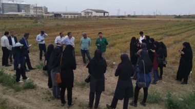 برگزاری روز مزرعه حبوبات دیم در ایستگاه ملی گنبد‌کاووس