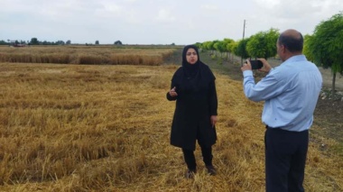 مصاحبه پژوهشگر بخش تحقیقات خاک و آب مرکز تحقیقات و آموزش گلستان با خبرگزاری ایرنا به مناسبت رویداد ملی روز درهای باز کشاورزی