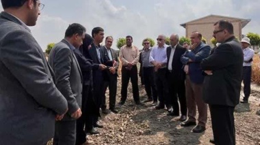برگزاری " اولین رویداد ملی روز درهای باز کشاورزی" در مرکز تحقیقات و آموزش گلستان