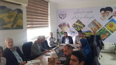 نخستین کمیته فنی کشت چغندرقند پاییزه در گلستان برگزار شد