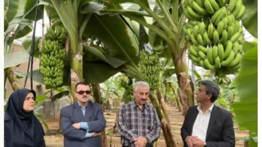 یزد، «دانشگاه بزرگ علمی و کاربردی» شوری کشور