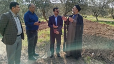 برنامه‌ریزی اجرای دوره‌های مهارتی ویژه زندانیان