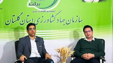 برگزاری برنامه تخصصی معرفی ارقام گندم دیم و آبی توسط شبکه برکت گلستان