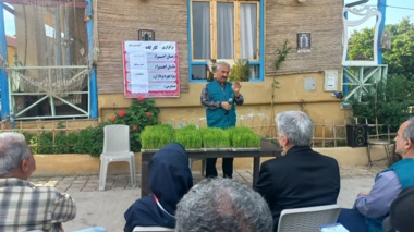 راهکار نجات مصرف آب در شالیزارها؛ امکان صرفه‌جویی ۴۰ درصدی با کشت مستقیم برنج