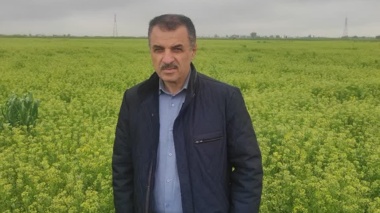 کشت ۷ هزار هکتاری «کاملینا» در اراضی شور گلستان/ ایستگاه تحقیقاتی گنبد به قطب تولید بذر کشور تبدیل شود