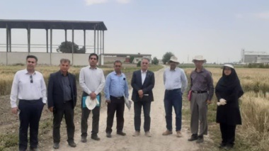 بازدید رئیس مؤسسه تحقیقات اصلاح و تهیه نهال و بذر کشور از ایستگاه ملی تحقیقات کشاورزی گنبدکاووس