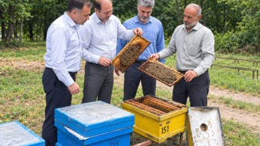 بازدید تخصصی از مزرعه اصلاح نژاد زنبور عسل استان گلستان